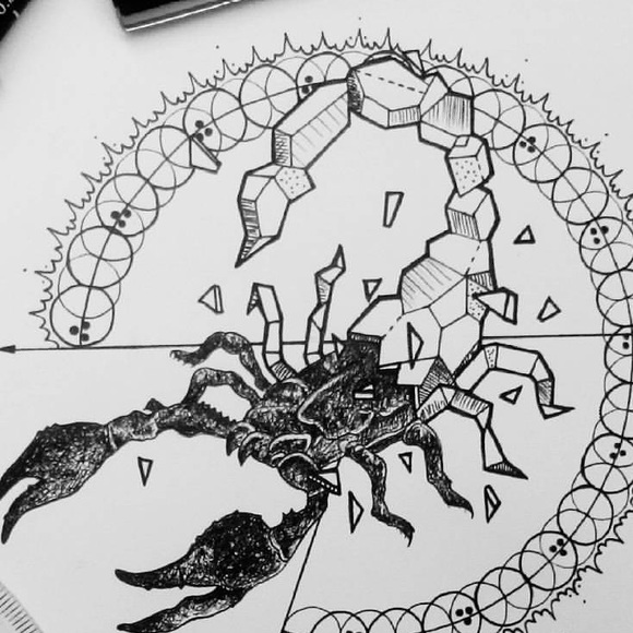 Meet your Posher, Megan - Picture 1 of 1